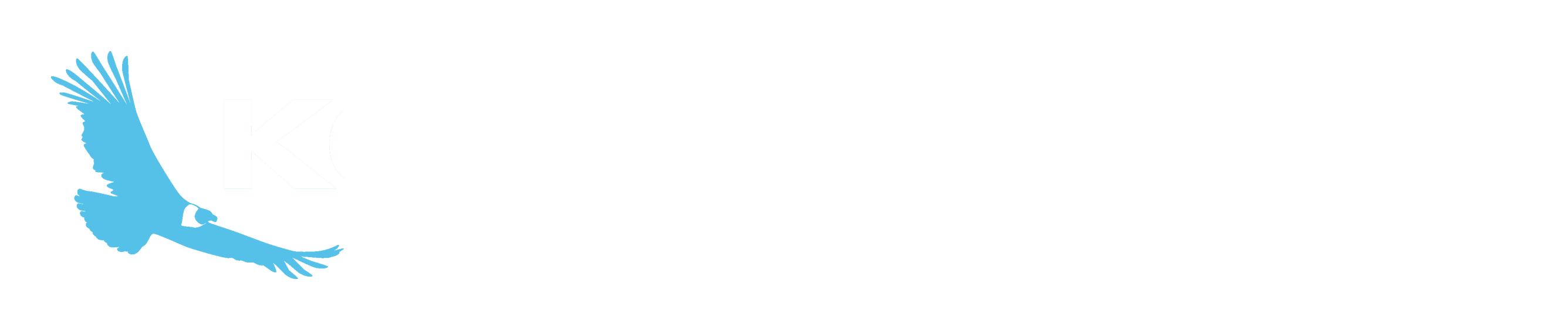 Kondor Blue